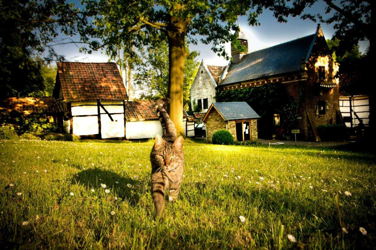 B&B De Bloesem Hoeselt Экстерьер фото